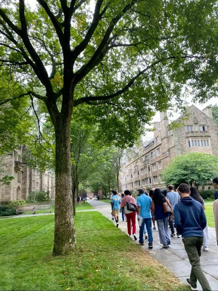 Students exploring higher education in the USA